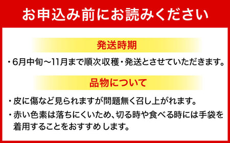 【2026年発送 先行受付】 完熟ドラゴンフルーツ 2kg (5玉) 果物 フルーツ スーパーフード 産地直送 沖縄市 / タカエスフルーツ＆ベジタブル[BCBH004]