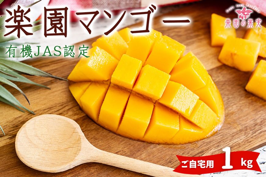 【ふるさと納税】《先行予約》2025年発送 有機JAS認証マンゴー（アーウィン）ご自宅用 1kg【楽園の果実】 | マンゴー 果物 フルーツ ご当地 アーウィン 有機 沖縄 宮古島