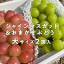 【ふるさと納税】岡山県産 きよとうのシャインマスカット&生産者いちおし葡萄 大サイズ2房入【配送不可地域：離島】【1457574】