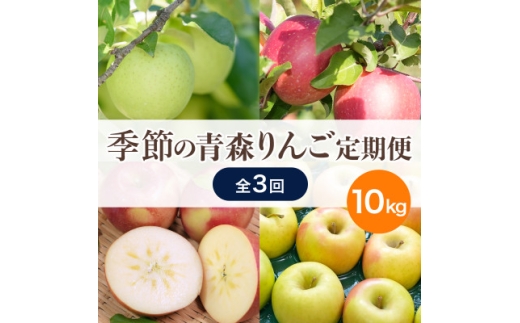 ＜発送月固定定期便＞青森りんご 訳あり 品種おまかせ 10kg 12月～2月全3回【4067595】