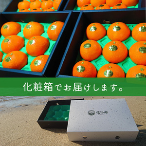 【先行予約】 2024年12月上旬から発送 あいか ご贈答用 A品 2.5kg 化粧箱入り｜ 訳あり みかん 訳あり みかん 柑橘 訳あり みかん あいか 訳あり みかん 愛果 訳あり みかん 愛果2