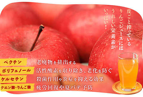 中野果樹園のサンふじ3kgとりんごジュース720ml×2本/さんふじ サンフジ サンふじ 送料無料 矢巾町産 りんご 予約 蜜 ジュース 果汁 しゃきしゃき シャキシャキ 甘い 酸味 贈答 ギフト プ