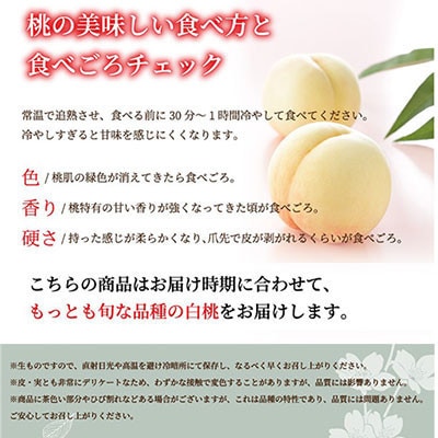 岡山白桃 エース 3玉×200g(Lサイズ )岡山県産【配送不可地域：離島・北海道・沖縄県】【1313415】