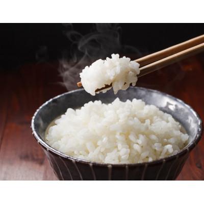 ふるさと納税 西脇市 兵庫県産【ヒノヒカリ】令和7年産・ 白米　10kg (10kg×1袋)