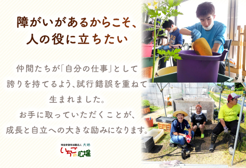 くつろぎcaféいちご　焼菓子詰め合わせセット（ハーフサイズ）