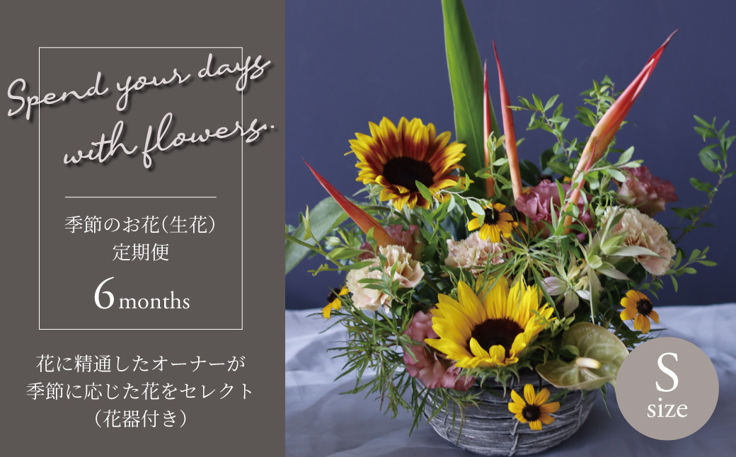 
            【毎月お届け】季節のお花（生花・花器付き）の定期便・Sサイズ　6か月 〈 フラワーアレンジメント 花 定期便  記念日 誕生日 お祝い ギフト プレゼント インテリア 自宅用 全国発送 送料無料 冷蔵 そのまま飾れる かわいい ※お届け日指定不可  〉
          