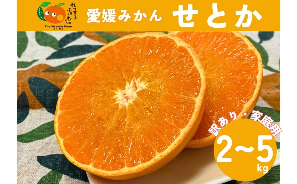
                  みかん 愛媛県 せとか 訳あり ご家庭用 【選べる容量】 2kg 5kg 施設 露地 数量限定 先行予約 ＜2026年1月下旬から順次発送予定＞ レッスルファーム おすすめ 美味しい おいしい グルメ フルーツ くだもの 国産 愛媛県産 人気 柑橘 伊予市
                
