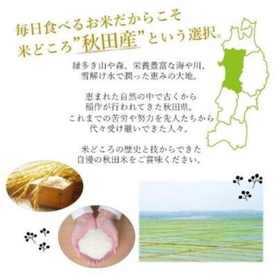 ふるさと納税 能代市 【先行受付】令和7年産 あきたこまち 玄米30kg[No.5335-1194] |  | 02