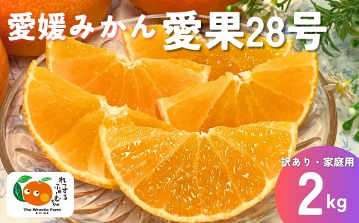 みかん 愛媛県 愛果28号 2kg ご家庭用 訳あり レッスルファーム 紅まどんなと同一品種 【2026年11月中旬下旬から順次発送予定】 先行予約 数量限定 おすすめ 美味しい おいしい グルメ フルーツ くだもの 愛媛県産 人気 柑橘 伊予市｜A104