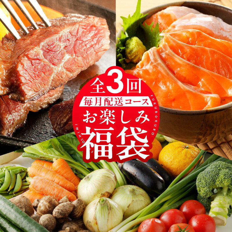 【ふるさと納税】泉佐野 お楽しみ 福袋 定期便 3回 牛肉 ステーキ 海鮮 サーモン 野菜【毎月発送】ハラミステーキ 焼肉 バーベキュー シルバーサーモン 刺身 サラダ カルパッチョ 泉州野菜 果物 鮮度抜群 産直 毎日食材 簡単調理 おかず おつまみ 肉 魚 泉佐野市 送料無料