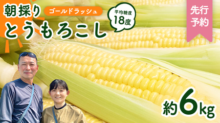 とうもろこし 朝採れ ゴールドラッシュ 約 6kg 6月下旬発送開始 とうもろこし とうもろこし とうもろこし とうもろこし とうもろこし とうもろこし とうもろこし
