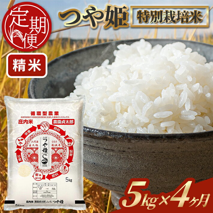 【ふるさと納税】≪4ヶ月定期便≫ 特別栽培米 つや姫 精米 5kg×4ヶ月連続 計20kg 令和7年産 山形県産 ご希望期間の毎月下旬にお届け 白米 庄内米 米 ごはん ご飯 酒田市 庄内 山形県 東北 定期便 4回