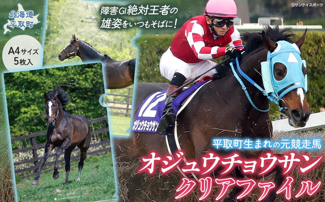
                  【オジュウチョウサン】クリアファイル（写真）5枚入り【ふるさと納税 人気 おすすめ ランキング 馬 競馬 競走馬 オジュウチョウサン グッズ 北海道 平取町 びらとり 送料無料】 BRTV019
                