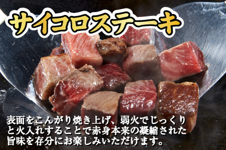 宮崎和牛 赤身焼肉 ＆ 赤身サイコロステーキセット 計1kg（牛肉 和牛 黒毛和牛 赤身 焼肉 ステーキ サイコロ 人気）