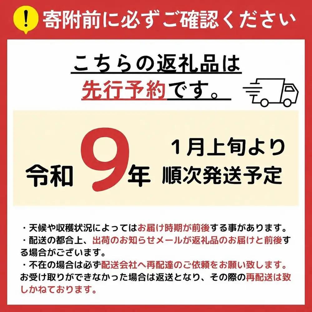 【先行予約】サンふじ 100％ りんごジュース 1000ml 2本 ｜ 外川果樹園