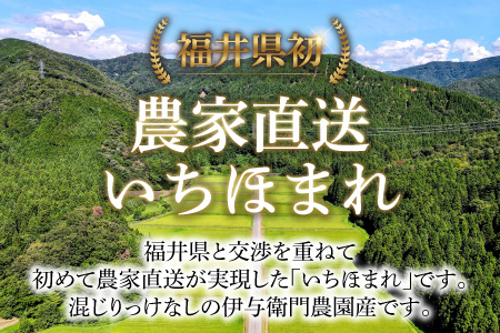 【令和4年産】《福井県初！》農家直送 いちほまれ 特A 精米 5kg×2袋（計10kg）／ 減農薬 高品質 鮮度抜群 あわら市熊坂産 ブランド米 白米 ＜出荷直前精米でお届け！＞