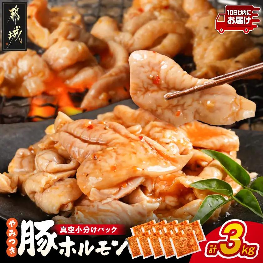 やみつき豚ホルモン!3kg!真空小分けパック!≪みやこんじょ特急便≫_LG8-3303-Q_(都城市) 国産豚 ホルモン 味付き 300g×10P 3kg 小分け 真空パック 