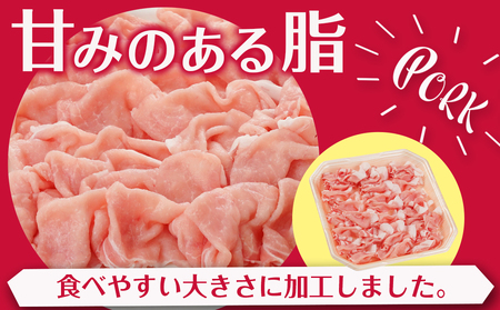 都城美鮮豚ロースしゃぶしゃぶ3kg(300g×10パック)_AC-5405_(都城市) 豚肉 ミルフィーユ鍋 しゃぶしゃぶ 炒め物 丼物 アレンジ豊富 パック詰め 