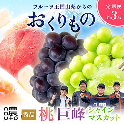 ふるさと納税 笛吹市 【発送月固定定期便】山梨の美味しい果物 桃・巨峰・シャインマスカット全3回