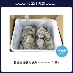 【2025年1月中旬発送】丸十水産 特選生牡蠣 むき身 1.2kg (600g×2袋)