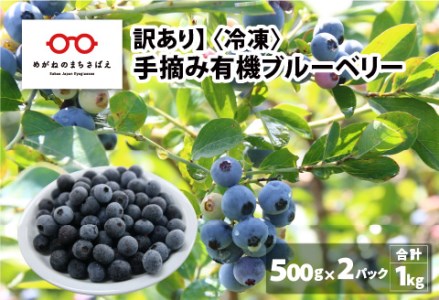 ＜7月以降先行予約開始予定＞【訳あり】令和7年産〈冷凍〉手摘み有機ブルーベリー1kg（500g × 2パック）