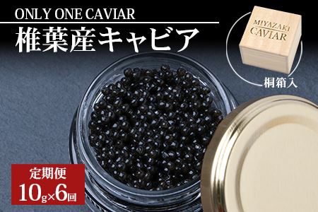 定期便 【桐箱入り】【6ヶ月お届け 合計60g(10g×6回)】HEIKE CAVIAR 【宮崎県 椎葉村】【世界三大珍味×日本三大秘境】［宮崎 椎葉 国産 定期便 チョウザメ キャビア 魚卵 卵 クリーミー お酒 魚介 珍味 加工品 冷凍 高級 高級食材 贅沢 お取り寄せ お取り寄せグルメ ディナー パーティー おつまみ グルメ ギフト 記念日 誕生日 プレゼント お祝い 贈り物 贈答 桐箱 希少］【SZ-108】