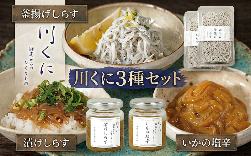 【ふるさと納税】川くに 3種セット 漬けしらす × 1個 いかの塩辛 × 1個 釜揚げしらす × 2個 生シラス しらす 取れたて 冷凍 特製たれ しょう油 いか 一夜干し 釜揚げ お酒 つまみ ご飯 株式会社 川国 神奈川県 平塚市