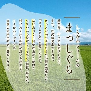 青森県産 無洗米 10㎏ まっしぐら （精米）乾式無洗米