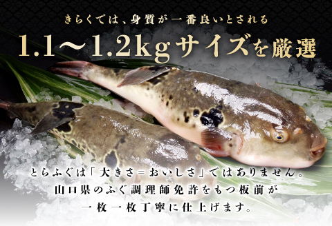 (200002)刺身 ふぐ てっさ とらふぐ刺身 定期便コース 【毎月4枚(1人前)×12ヶ月】