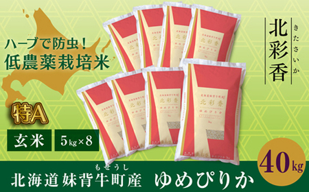 2026年3月発送 令和7年産 ゆめぴりか 玄米 40kg 一括発送 【北彩香】| 妹背牛産 北海道 米 道産 特A