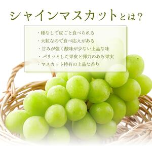 【2026年発送分 先行予約】岡山県産 シャインマスカット 600g以上（1房）【ご家庭用】【025-a034】