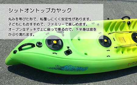 ファミリー向け 新居大島シットオントップカヤック体験 1/2DAY（大人1名）