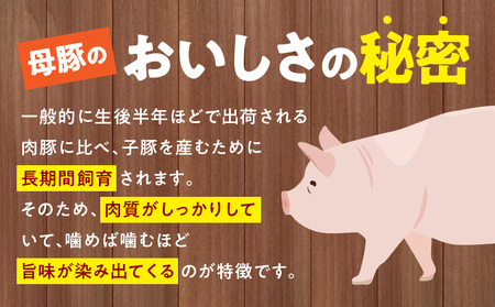 国産母豚 宮崎県産豚肉 切り落とし＆ミンチセット 4kg 母豚 切り落とし セット 4kg