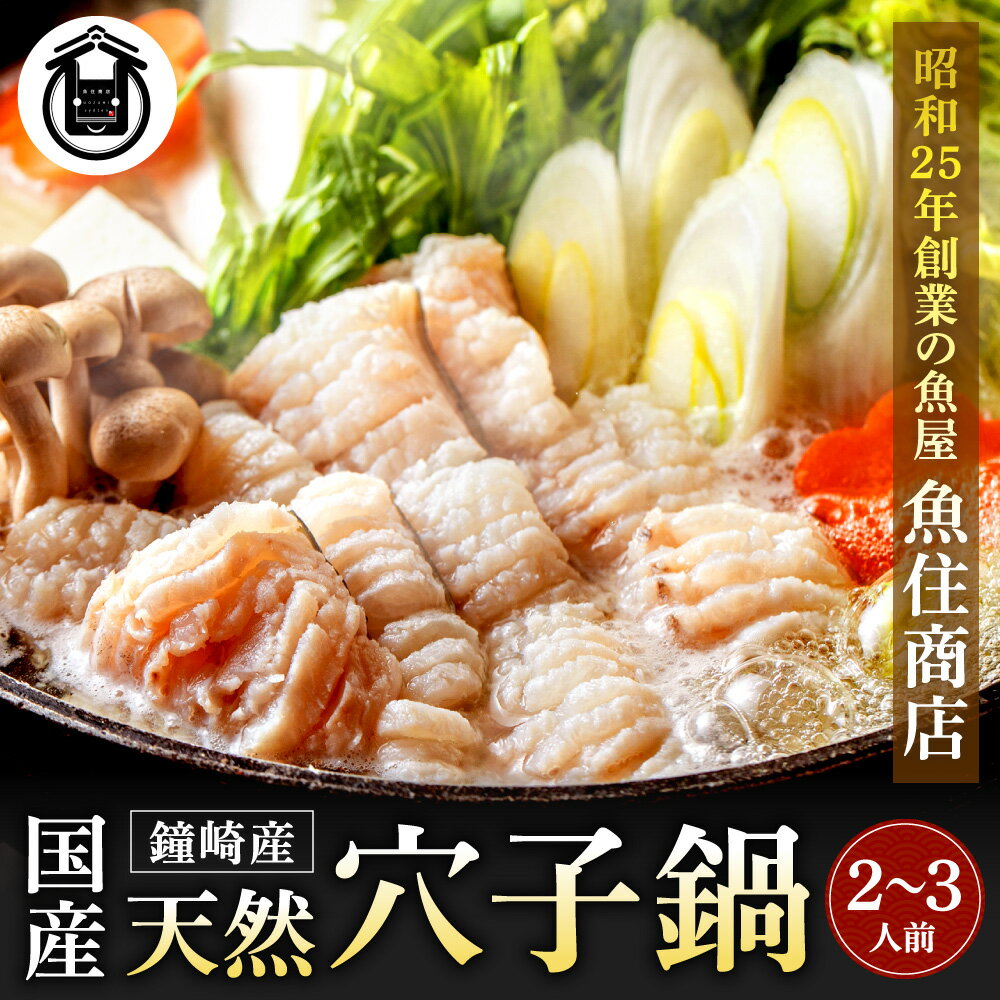 【ふるさと納税】天然穴子鍋セット（2～3人前）.AE203