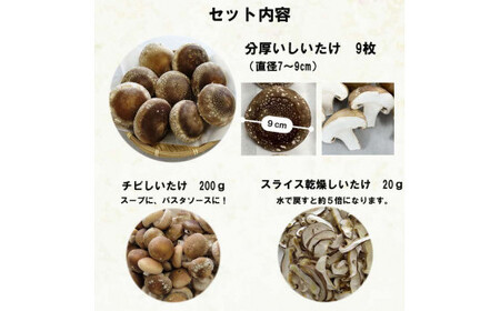 朝採り新鮮！分厚いしいたけ　チビしいたけセット