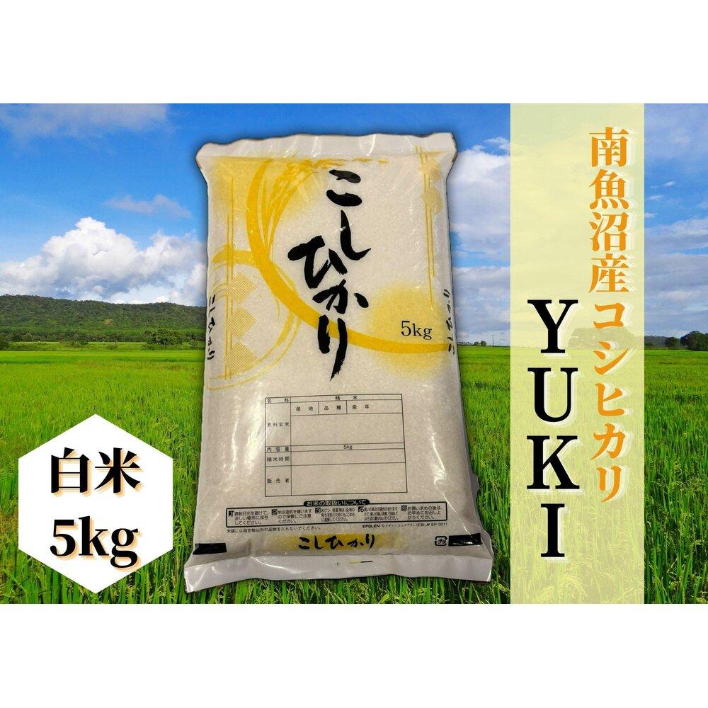 【ふるさと納税】【定期便】【令和8年産 新米予約】南魚沼産コシヒカリ「YUKI」白米5kg×全12回【定期便 銘柄米 ブランド米 精米 こしひかり コシヒカリ 魚沼産 新潟米 産地直送 お米 米 こめ コメ ご飯】【2026年10月上旬より1ヶ月以内に順次発送予定】