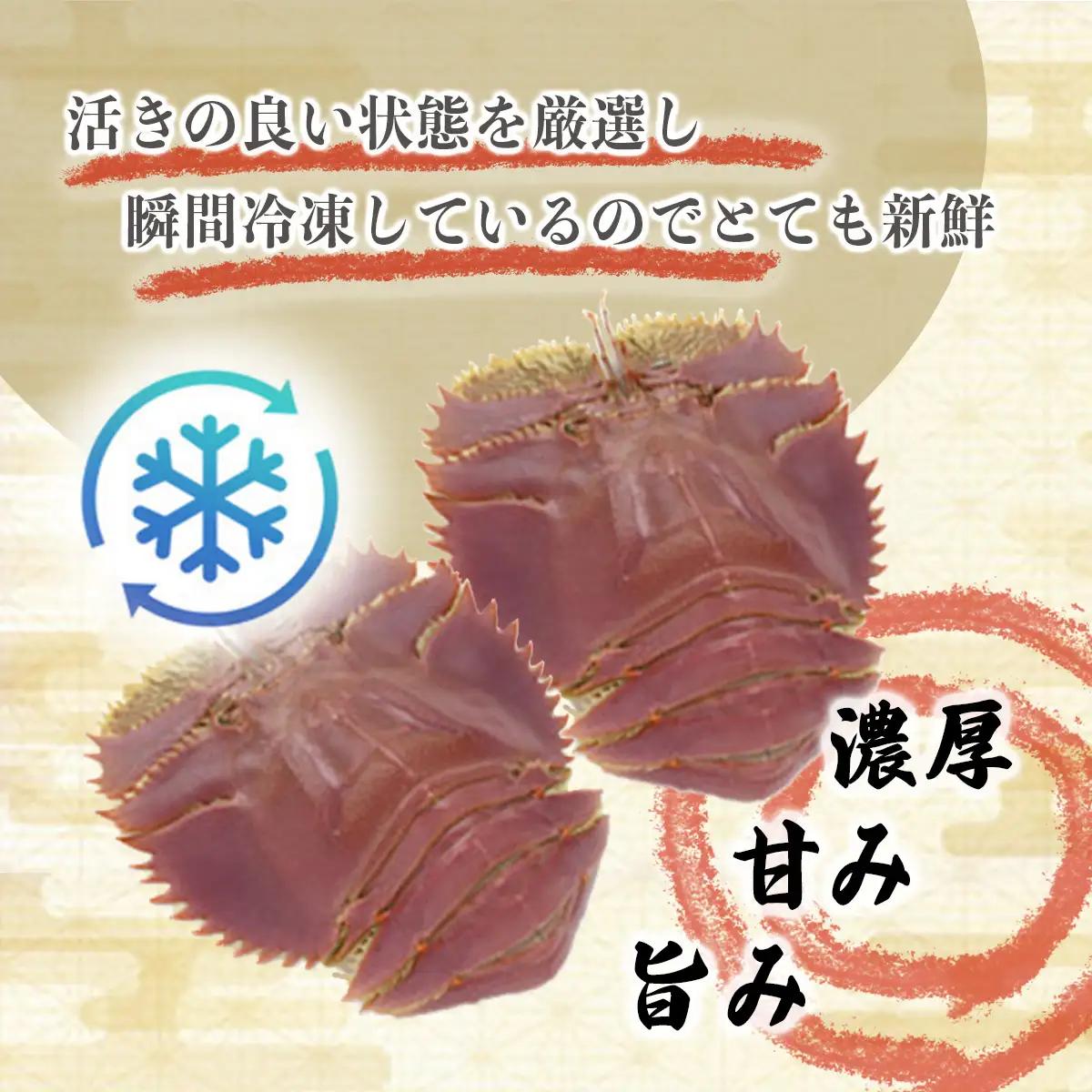 活〆ウチワエビ 500g(3～5尾)