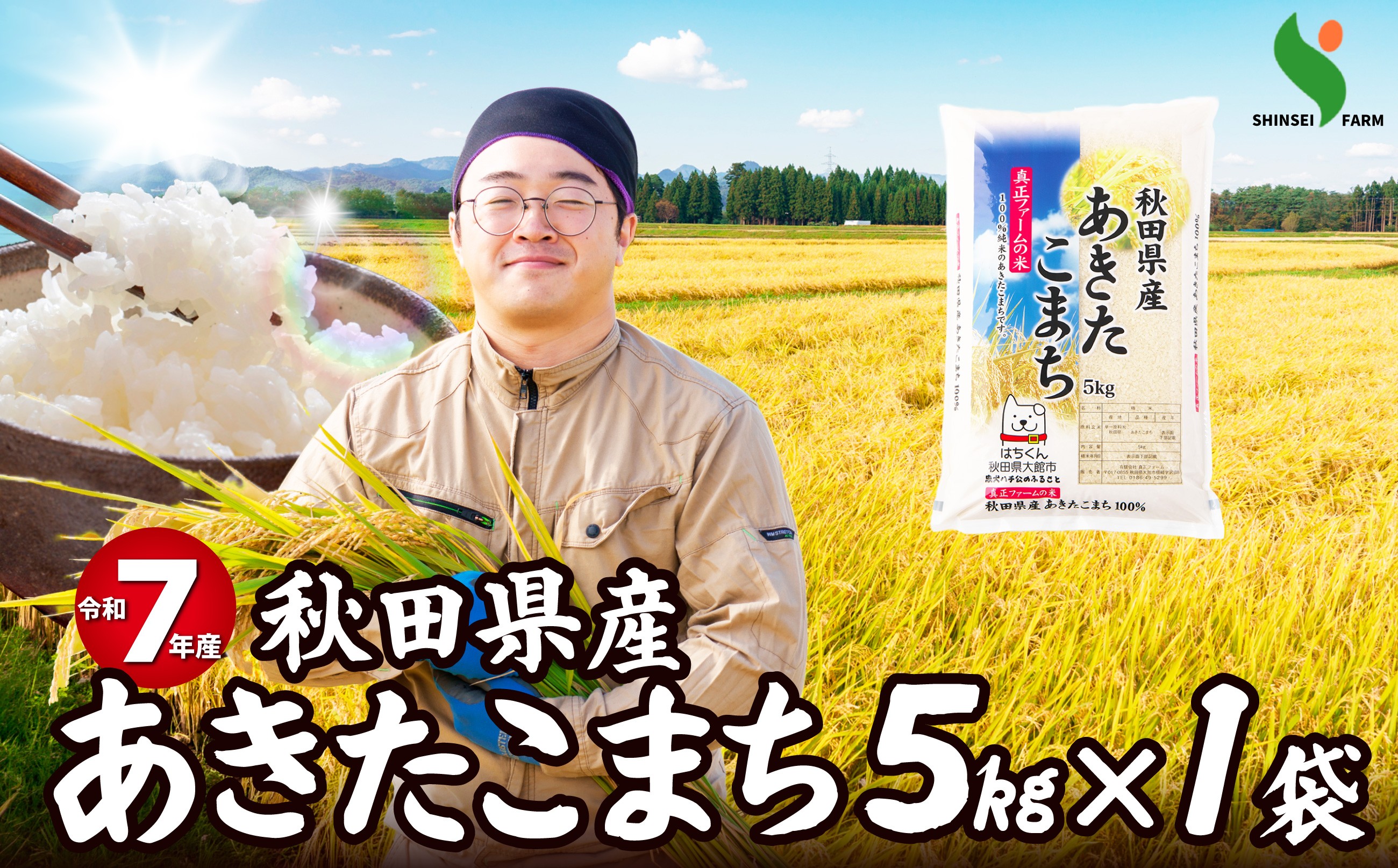 
                  令和7年産秋田県産あきたこまち(普通米)5kg 50P9025　/ 米 普通米 5kg 白米 令和7年産 秋田県産 あきたこまち 5kg×1袋 おにぎり 大館 東北 秋田 小分け こわけ 大館市 5キロ 5ｷﾛ 5きろ
                