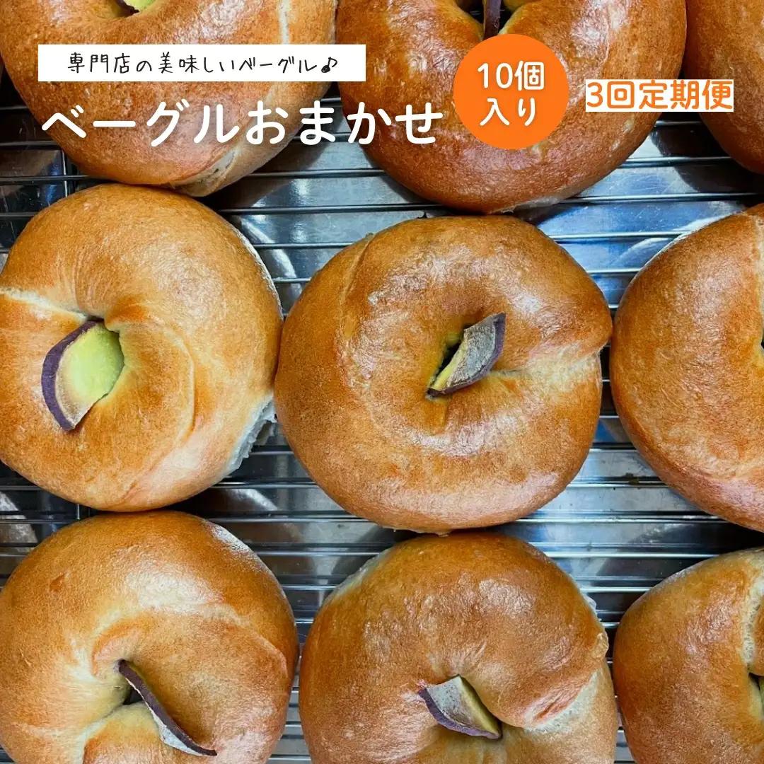 【定期便3回】ベーグル おまかせ 10個 毎月 国産小麦 レーズン酵母 | パン 専門店 新潟県 五泉市