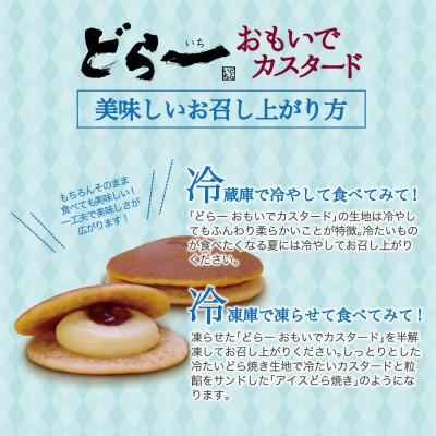 ふるさと納税 新居浜市 【期間限定:9月10日まで受付】 どら焼き ハタダ どら一(いち) おもいでカスタード 20個入り |  | 03