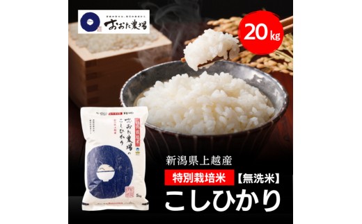 令和8年産 新潟県上越産 特別栽培米 コシヒカリ 20kg 20キロ（5kg×4） 【無洗米】 従来品種 こしひかり 新米 おおた農場 上越市
