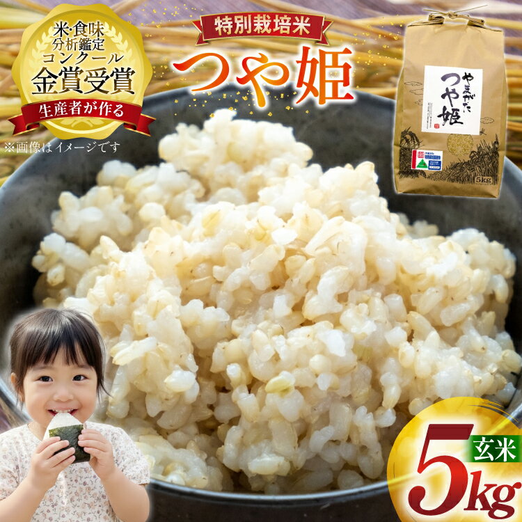 【ふるさと納税】 米 令和7年産 つや姫 5kg 特別栽培米 玄米 [農家の蔵出し米生産組合 山形県 高畠町 tk06ays900024] コメ ご飯 ごはん お米 ブランド米