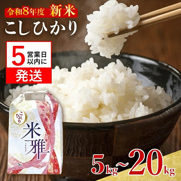 【ふるさと納税】【5営業日以内発送】コシヒカリ 白米 5kg 10kg 20kg スピード発送 R8年産 2026年産 白米 精米 直前精米 化学肥料不使用 有機米 お米 こめ コメ コシヒカリ こしひかり 人気 兵庫県産 精米