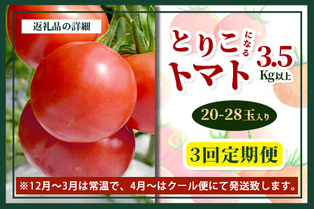  【先行予約】 たにぐちファーム とりこになるトマト【3.5kg以上×3回定期便】【2024年12月から出荷】 Ricotomato トマト [定期便 野菜定期便 定期 野菜 トマト 新鮮 サラダ 生