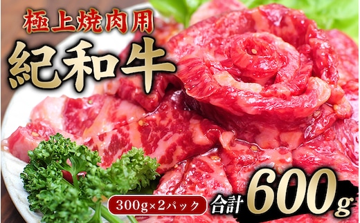 
										
										極上紀和牛タレ仕込味付焼肉 300g×2パック 合計600g【冷凍】 / 肉 牛肉 牛 小分け 味 焼き肉 焼肉 【tnk205】
									