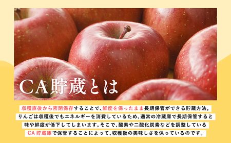 《4月発送》 CA貯蔵サンふじ 約5kg(14～20玉程度)【りんご 森山商店 平川市産 青森りんご 年明け発送 4月 CA 貯蔵 林檎 リンゴ サンふじ ふじ 葉とらず 平川市 青森県】