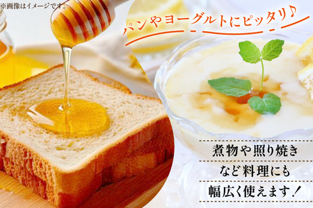 はちみつ 国産 石蔵のはちみつ りんごはちみつ 450g 2本 セット [東養蜂場 青森県 おいらせ町 oi02ayo660016] ハチミツ 蜂蜜