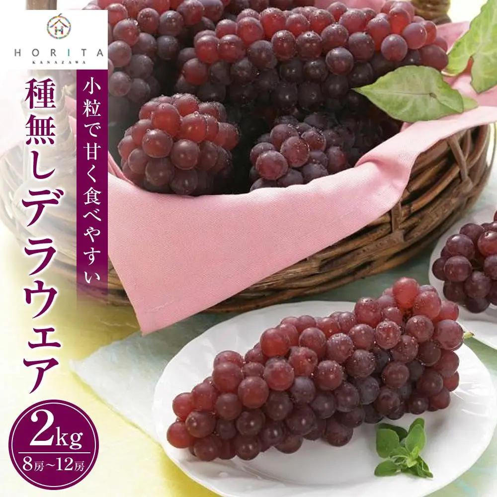 ＜先行予約＞【2027年7月上旬～発送】種無し デラウエア 2kg（8～12房）ぶどう 葡萄