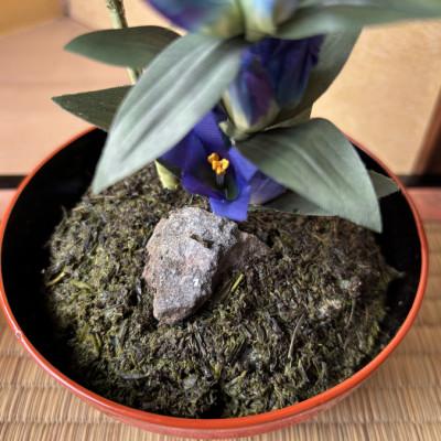 ふるさと納税 掛川市 【秋りんどう】四季を彩る創作草もの盆栽(工芸品)〜工房椿 |  | 01
