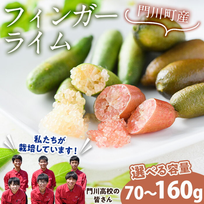 【ふるさと納税】＜数量限定・期間限定＞＜内容量が選べる！＞宮崎県門川町産フィンガーライム(70～160g) 柑橘 希少 ライム キャビアライム シトラス 高校生 門高【AU-3・AU-2】【宮崎県立門川高等学校】